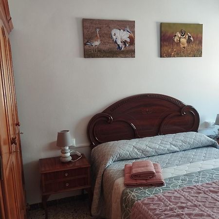 Apartamento Las Fuentes Sierra de Fuentes Exterior photo